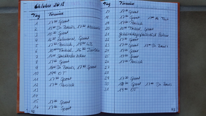 Wie du Sport und Ernährung im Bullet Journal organisieren kannst