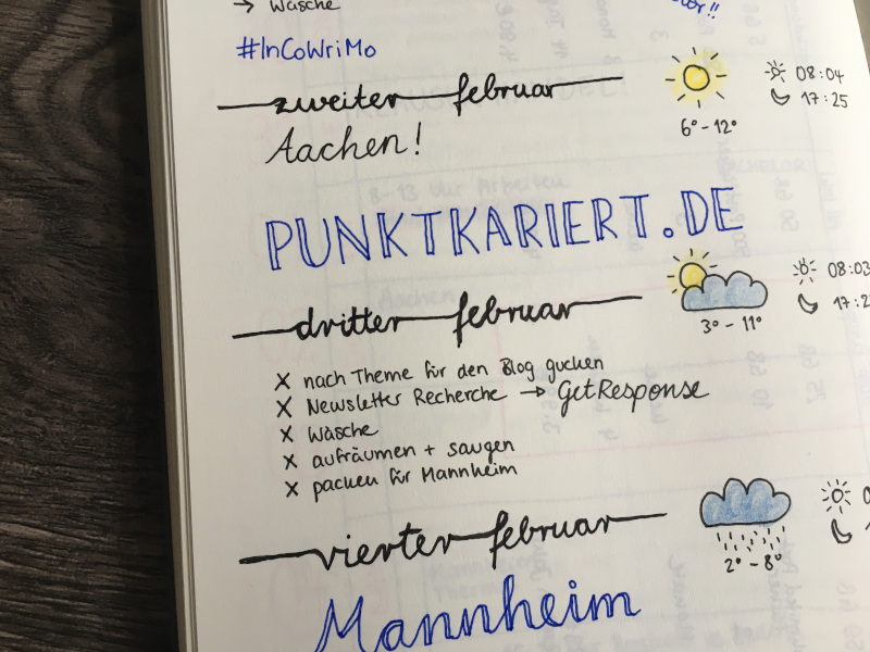 Die Domain punktkariert.de wird registriert